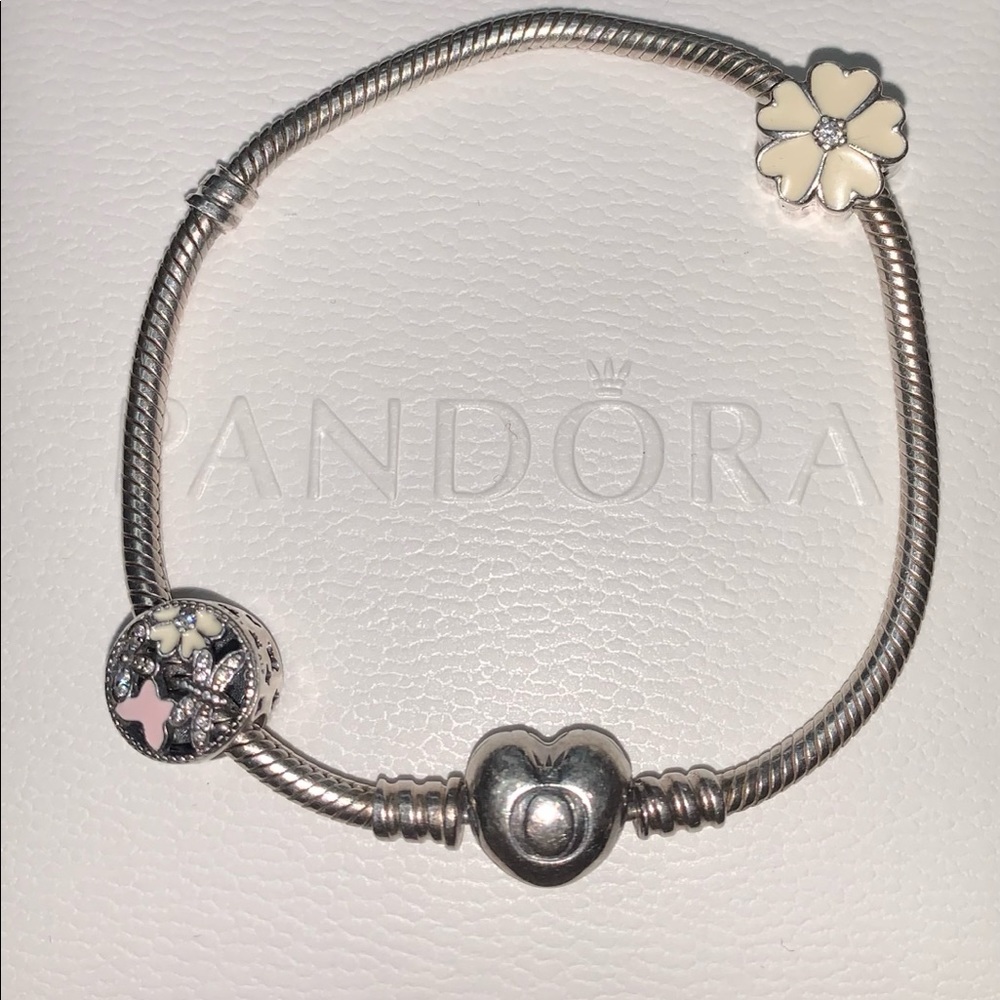 Pandora Charm Bracelet